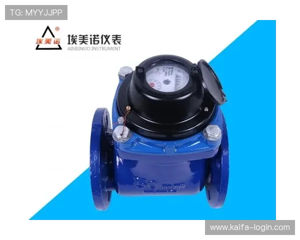 凯发k8官方网址最新入口全面解析帮助用户快速登录体验优质博彩服务